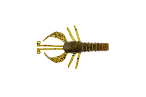 Burro Bug