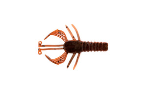 Burro Bug