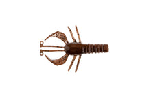 Load image into Gallery viewer, Burro Bug