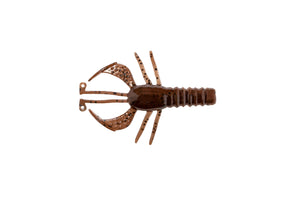 Burro Bug