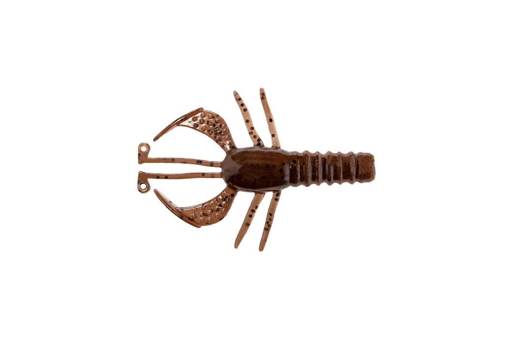 Burro Bug