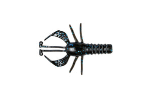 Burro Bug